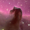 Gas Creature's Photo