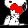 Dexter G.'s Photo